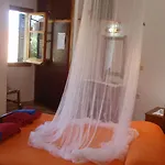Korina *
